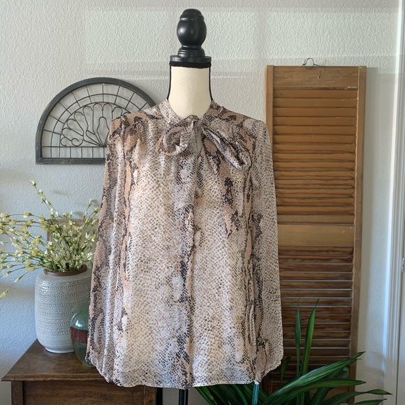 Daniel Rainn Blouse - Picture 8 of 8